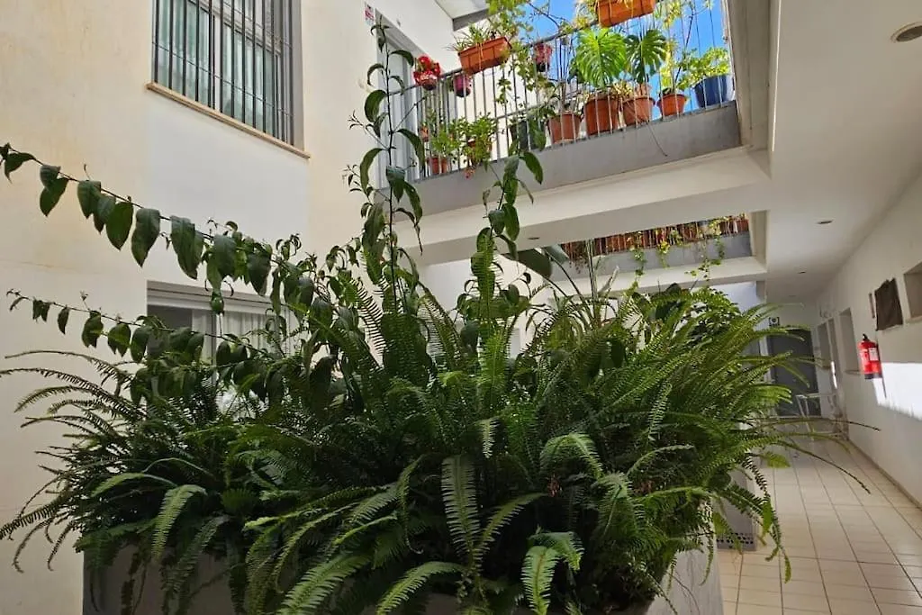 Apartment Suite Trinidad Centro Malaga